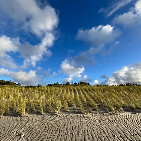 Haus Kranich App 422